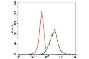 Flow Cytometry (FACS) image for anti-Microtubule-Associated Protein 2 (MAP2) (AA 24-123) antibody (ABIN1846128)