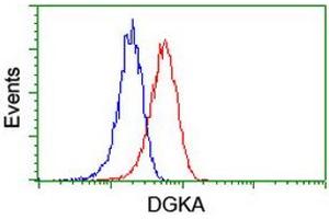 Flow cytometric Analysis of Jurkat cells, using anti-DGKA antibody (ABIN2455378), (Red), compared to a nonspecific negative control antibody, (Blue). (DGKA anticorps)