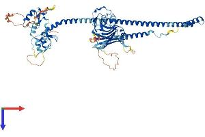 AlphaFold protein structure predicition of Human Recombinant TRIM47 Protein, UniprotID Q96LD4