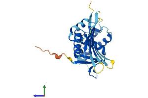 AlphaFold protein structure predicition of Human Recombinant KCTD6 Protein, UniprotID Q8NC69
