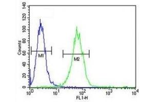 SOX4 antibody flow cytometric analysis of A2058 cells (green) compared to a  (SOX4 anticorps  (AA 86-114))