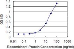 Detection limit for recombinant GST tagged OXSR1 is 0.