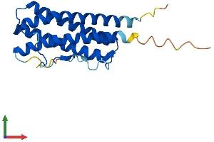 AlphaFold protein structure predicition of Mouse Recombinant Cntf Protein, UniprotID P51642