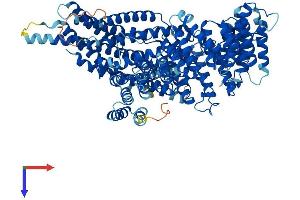 AlphaFold protein structure predicition of Mouse Recombinant Naa25 Protein, UniprotID Q8BWZ3
