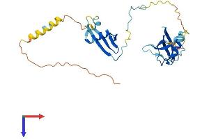 AlphaFold protein structure predicition of Human Recombinant UBXN2A Protein, UniprotID P68543