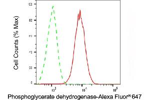 Flow cytometric analysis of Phosphoglycerate dehydrogenase expression in C2C12 cells using Phosphoglycerate dehydrogenase antibody (ABIN7799808), 1:1,000). (PHGDH anticorps)