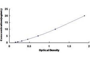 Melanin-Concentrating Hormone Receptor 1 (MCHR1) ELISA Kit