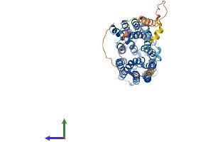 AlphaFold protein structure predicition of Mouse Recombinant Slc16a1 Protein, UniprotID P53986