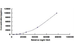 ELISA image for Selectin P (Granule Membrane Protein 140kDa, Antigen CD62) (SELP) CLIA Kit (ABIN492077)