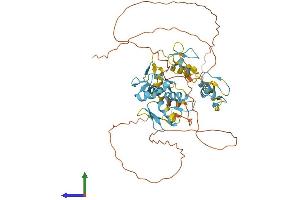 AlphaFold protein structure predicition of Human Recombinant ZNF639 Protein, UniprotID Q9UID6