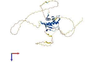 AlphaFold protein structure predicition of Human Recombinant IRF2 Protein, UniprotID P14316