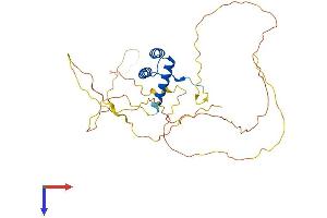 AlphaFold protein structure predicition of Mouse Recombinant Dlx2 Protein, UniprotID P40764