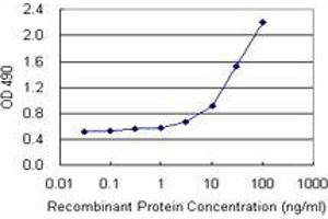 Sandwich ELISA detection sensitivity ranging from 3 ng/mL to 100 ng/mL. (CD248 (Humain) Matched Antibody Pair)