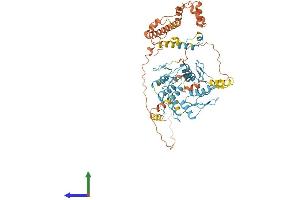 AlphaFold protein structure predicition of Human Recombinant ZNF285 Protein, UniprotID Q96NJ3