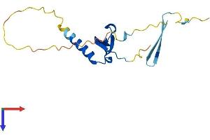 AlphaFold protein structure predicition of Mouse Recombinant Cbx7 Protein, UniprotID Q8VDS3