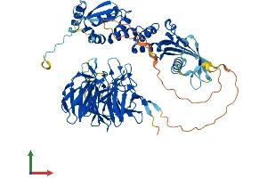 AlphaFold protein structure predicition of Human Recombinant IVNS1ABP Protein, UniprotID Q9Y6Y0