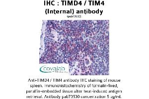 Image no. 1 for anti-T-Cell Immunoglobulin and Mucin Domain Containing 4 (TIMD4) (Internal Region) antibody (ABIN1740078) (TIMD4 anticorps  (Internal Region))