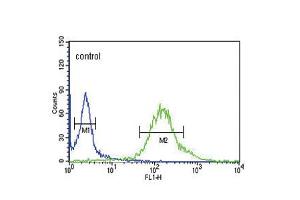 Flow cytometric analysis of Hela cells (right histogram) compared to a negative control cell (left histogram). (GTSE1 anticorps  (C-Term))