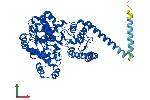 AlphaFold protein structure predicition of Human Recombinant FAR1 Protein, UniprotID Q8WVX9