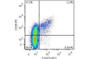 Intracellular staining of human peripheral blood cells (gated on CD4+ cells) with anti-FoxP3 (clone 3G3).