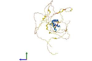 AlphaFold protein structure predicition of Mouse Recombinant Irx1 Protein, UniprotID P81068