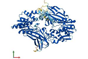 AlphaFold protein structure predicition of Human Recombinant PRMT7 Protein, UniprotID Q9NVM4