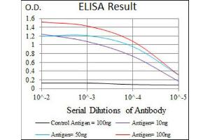 ELISA image for anti-Polo-Like Kinase 1 (PLK1) (AA 331-508) antibody (ABIN1844749) (PLK1 anticorps  (AA 331-508))
