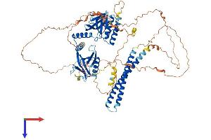 AlphaFold protein structure predicition of Mouse Recombinant Afap1 Protein, UniprotID Q80YS6