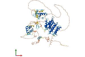 AlphaFold protein structure predicition of Mouse Recombinant Mysm1 Protein, UniprotID Q69Z66