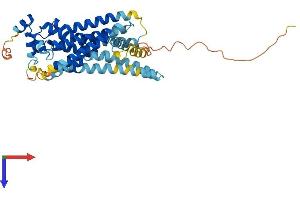 AlphaFold protein structure predicition of Mouse Recombinant S1pr4 Protein, UniprotID Q9Z0L1