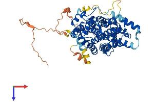 AlphaFold protein structure predicition of Mouse Recombinant Sesn2 Protein, UniprotID P58043