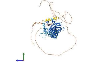 AlphaFold protein structure predicition of Human Recombinant EBF2 Protein, UniprotID Q9HAK2