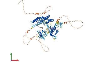 AlphaFold protein structure predicition of Human Recombinant FGD3 Protein, UniprotID Q5JSP0