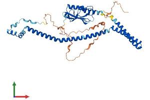 AlphaFold protein structure predicition of Human Recombinant VPS37A Protein, UniprotID Q8NEZ2