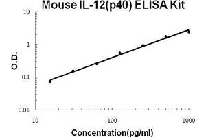 Mouse IL-12(p40) PicoKine ELISA Kit standard curve (IL12B Kit ELISA)