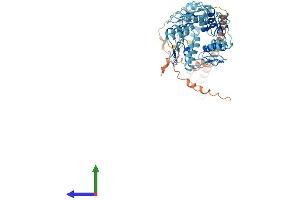 AlphaFold protein structure predicition of Human Recombinant ZNF98 Protein, UniprotID A6NK75