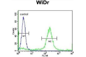 ADAMDEC1 Antibody (N-term) flow cytometric analysis of WiDr cells (right histogram) compared to a negative control cell (left histogram).