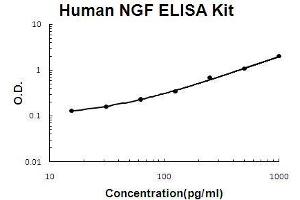 Human NGF/NGF beta PicoKine ELISA Kit standard curve