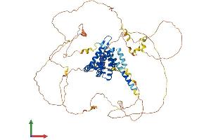AlphaFold protein structure predicition of Human Recombinant EPN2 Protein, UniprotID O95208