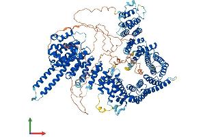 AlphaFold protein structure predicition of Human Recombinant STAG2 Protein, UniprotID Q8N3U4