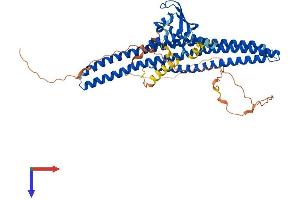 AlphaFold protein structure predicition of Mouse Recombinant Snx1 Protein, UniprotID Q9WV80