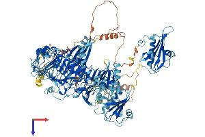 AlphaFold protein structure predicition of Mouse Recombinant Flii Protein, UniprotID Q9JJ28