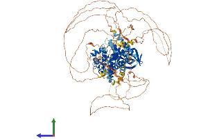 AlphaFold protein structure predicition of Human Recombinant ULK2 Protein, UniprotID Q8IYT8