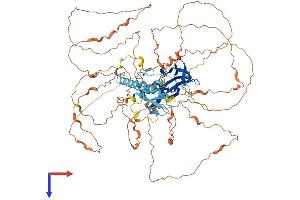 AlphaFold protein structure predicition of Mouse Recombinant Bahd1 Protein, UniprotID Q497V6