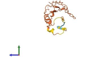 AlphaFold protein structure predicition of Human Recombinant HCP5 Protein, UniprotID Q6MZN7