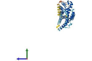 AlphaFold protein structure predicition of Mouse Recombinant Cysltr1 Protein, UniprotID Q99JA4