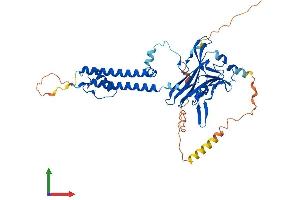AlphaFold protein structure predicition of Human Recombinant KCNJ4 Protein, UniprotID P48050
