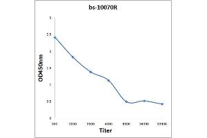 Antigen: 2 µg/100 µL  Primary: Antiserum, 1:500, 1:1000, 1:2000, 1:4000, 1:8000, 1:16000, 1:32000;  Secondary: HRP conjugated Rabbit Anti-Goat IgG at 1: 5000;  TMB staining Read the data in Microplate Reader by 450nm.