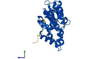 AlphaFold protein structure predicition of Mouse Recombinant Gsto2 Protein, UniprotID Q8K2Q2