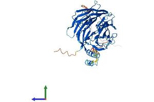AlphaFold protein structure predicition of Mouse Recombinant Ddb2 Protein, UniprotID Q99J79